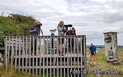 Team Cape May, the team that found the most species